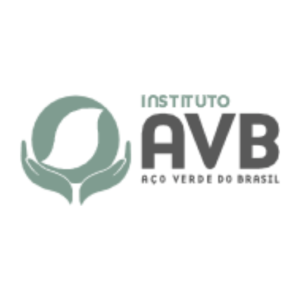 Instituto AVB