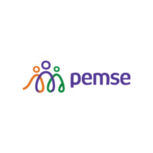 PEMSE