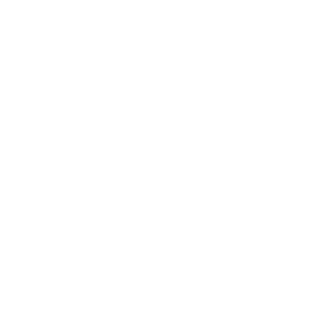 Cão e Gato